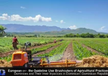 Directrices de la Unión Europea sobre el Uso Sostenible de Desbrozadoras y su impacto en prácticas agrícolas